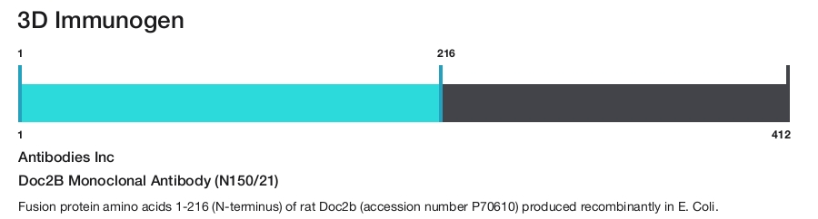 Doc2B Monoclonal Antibody (N150/21)