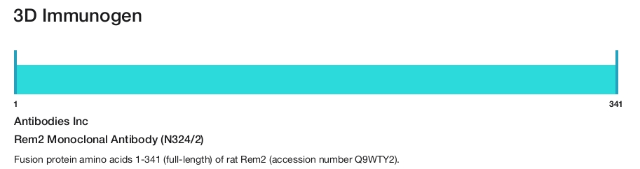 Rem2 Monoclonal Antibody (N324/2)