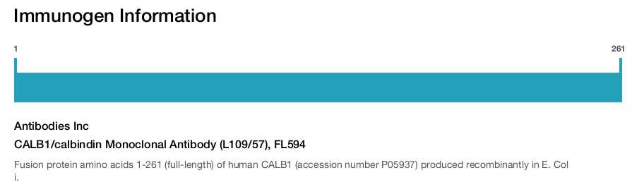 CALB1/calbindin Monoclonal Antibody (L109/57), FL594