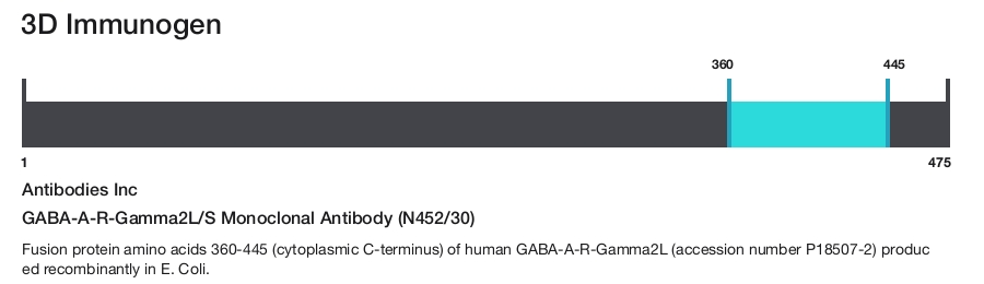 GABA-A-R-Gamma2L/S Monoclonal Antibody (N452/30)
