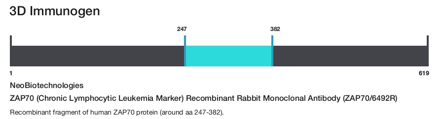 ZAP70 (Chronic Lymphocytic Leukemia Marker) Recombinant Rabbit Monoclonal Antibody (ZAP70/6492R)