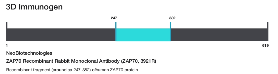 ZAP70 Recombinant Rabbit Monoclonal Antibody (ZAP70, 3921R)