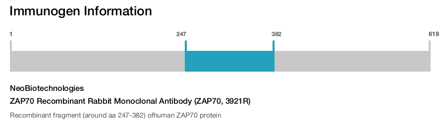 ZAP70 Recombinant Rabbit Monoclonal Antibody (ZAP70, 3921R)