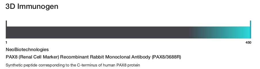 PAX8 (Renal Cell Marker) Recombinant Rabbit Monoclonal Antibody (PAX8/3688R)