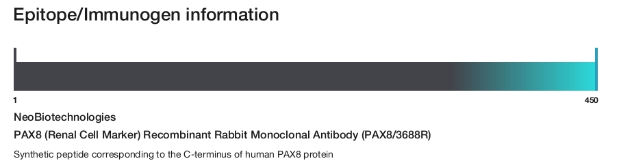 Pax Rabbit PAX8 (Renal Cell Marker) Recombinant Rabbit Monoclonal Antibody (PAX8 ...