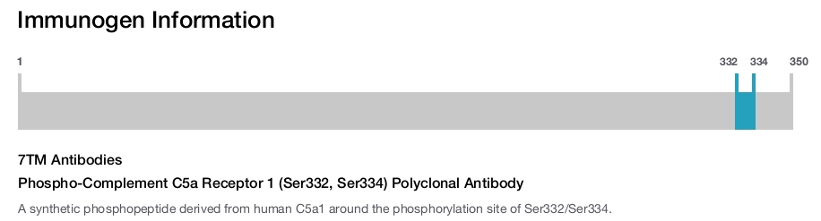 Phospho-Complement C5a Receptor 1 (Ser332, Ser334) Polyclonal Antibody