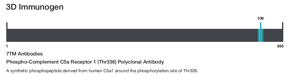 Phospho-Complement C5a Receptor 1 (Thr336) Polyclonal Antibody