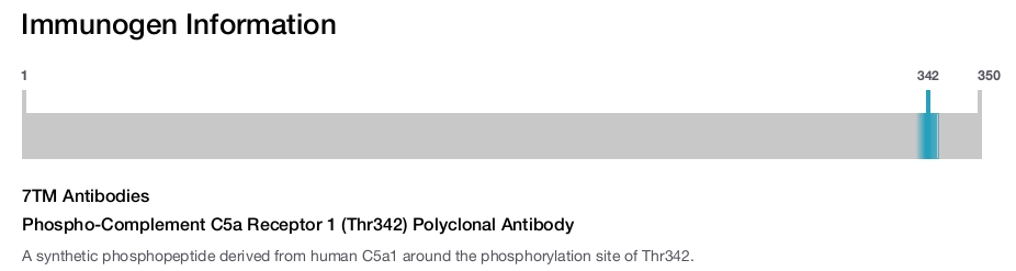 Phospho-Complement C5a Receptor 1 (Thr342) Polyclonal Antibody