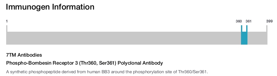 Phospho-Bombesin Receptor 3 (Thr360, Ser361) Polyclonal Antibody