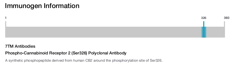 Phospho-Cannabinoid Receptor 2 (Ser326) Polyclonal Antibody