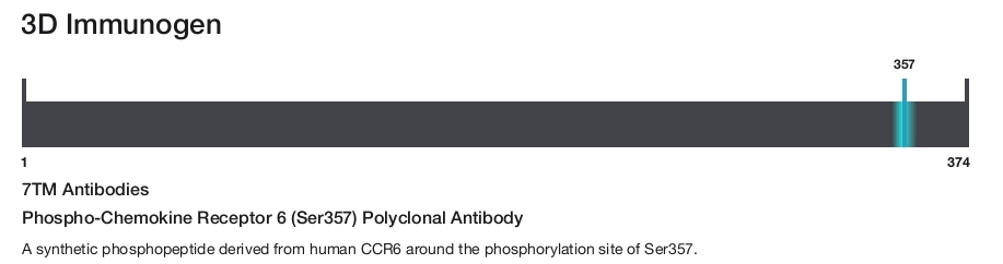 Phospho-Chemokine Receptor 6 (Ser357) Polyclonal Antibody