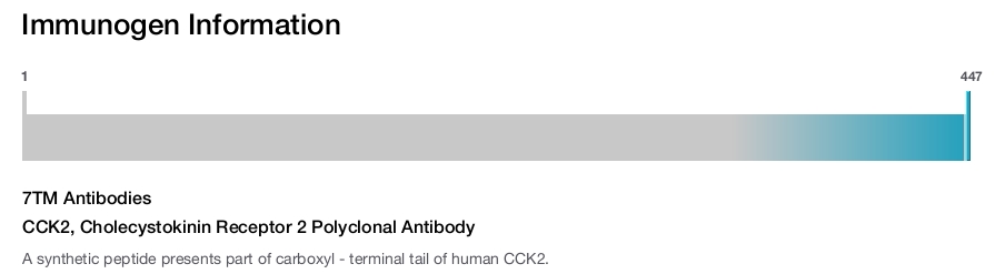 CCK2, Cholecystokinin Receptor 2 Polyclonal Antibody