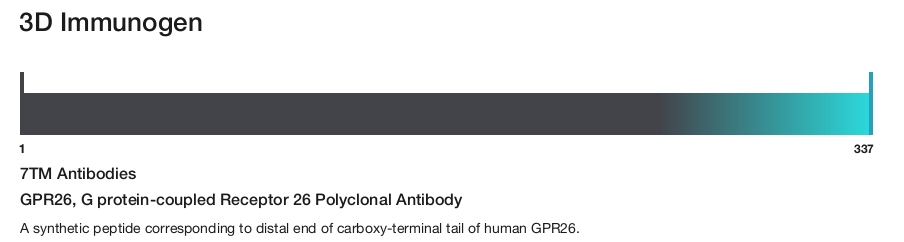 GPR26, G protein-coupled Receptor 26 Polyclonal Antibody
