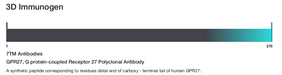 GPR27, G protein-coupled Receptor 27 Polyclonal Antibody