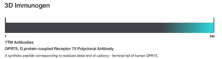 GPR75, G protein-coupled Receptor 75 Polyclonal Antibody