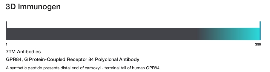 GPR84, G Protein-Coupled Receptor 84 Polyclonal Antibody