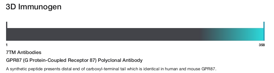 GPR87 (G Protein-Coupled Receptor 87) Polyclonal Antibody