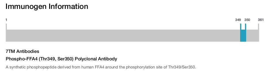 Phospho-FFA4 (Thr349, Ser350) Polyclonal Antibody