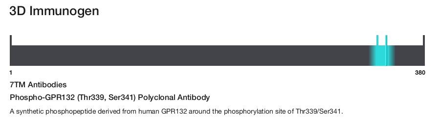 Phospho-GPR132 (Thr339, Ser341) Polyclonal Antibody
