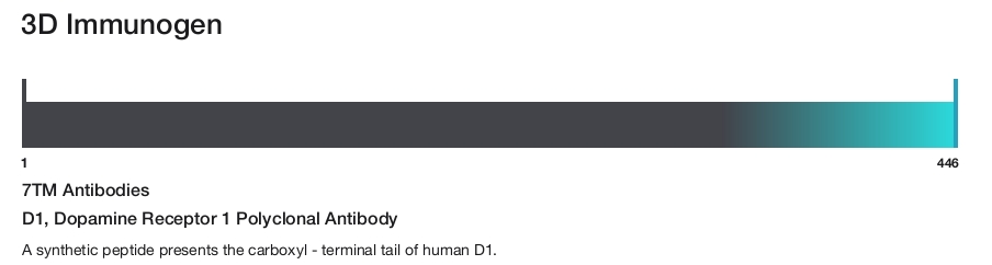D1, Dopamine Receptor 1 Polyclonal Antibody