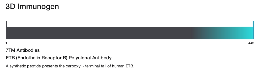ETB (Endothelin Receptor B) Polyclonal Antibody