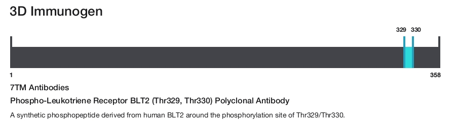 Phospho-Leukotriene Receptor BLT2 (Thr329, Thr330) Polyclonal Antibody