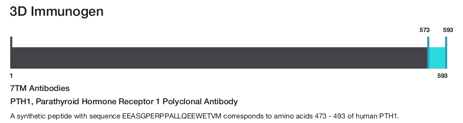PTH1, Parathyroid Hormone Receptor 1 Polyclonal Antibody