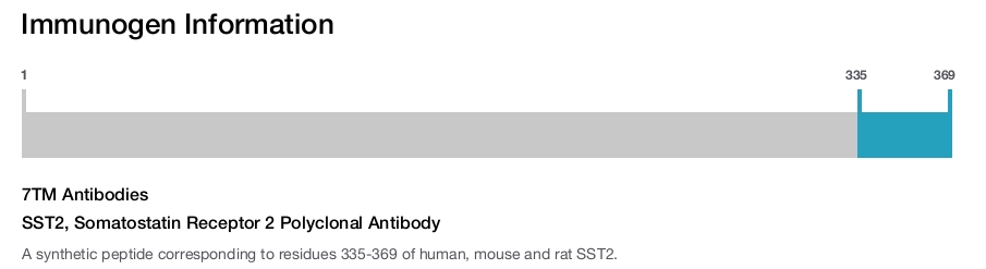 SST2, Somatostatin Receptor 2 Polyclonal Antibody