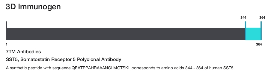 SST5, Somatostatin Receptor 5 Polyclonal Antibody