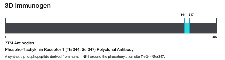 Phospho-Tachykinin Receptor 1 (Thr344, Ser347) Polyclonal Antibody