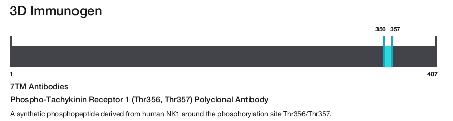 Phospho-Tachykinin Receptor 1 (Thr356, Thr357) Polyclonal Antibody
