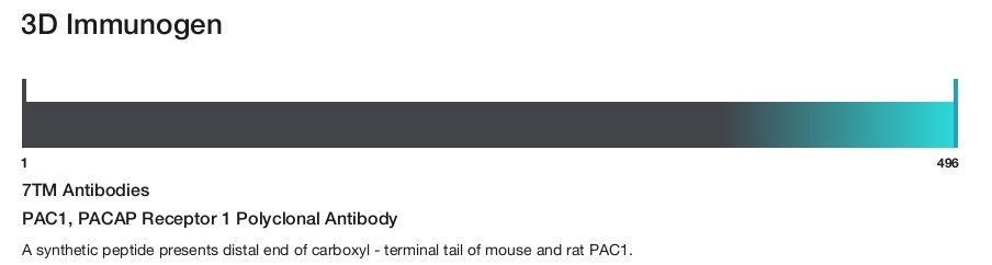 PAC1, PACAP Receptor 1 Polyclonal Antibody