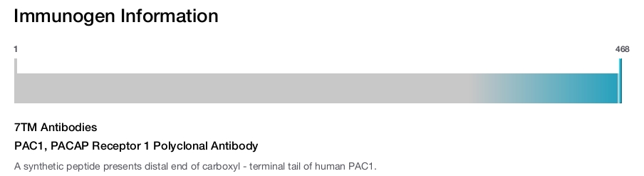 PAC1, PACAP Receptor 1 Polyclonal Antibody