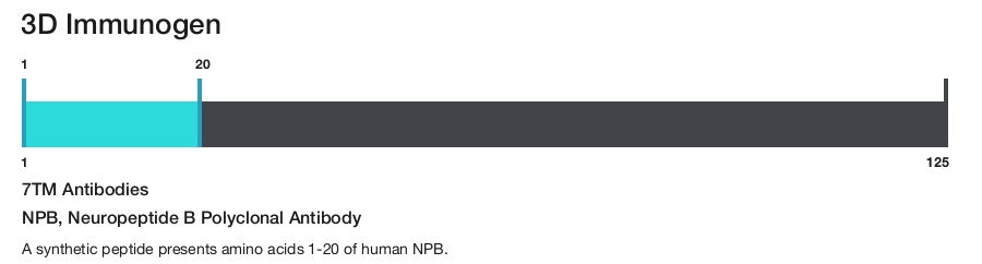 NPB, Neuropeptide B Polyclonal Antibody