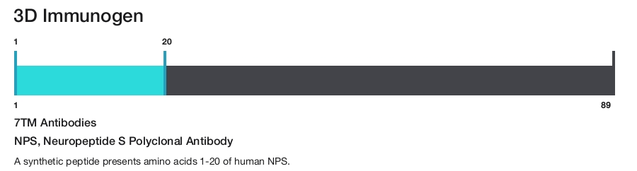 NPS, Neuropeptide S Polyclonal Antibody