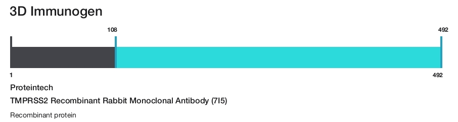TMPRSS2 Recombinant Rabbit Monoclonal Antibody (7I5)