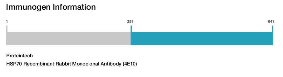 HSP70 Recombinant Rabbit Monoclonal Antibody (4E10)