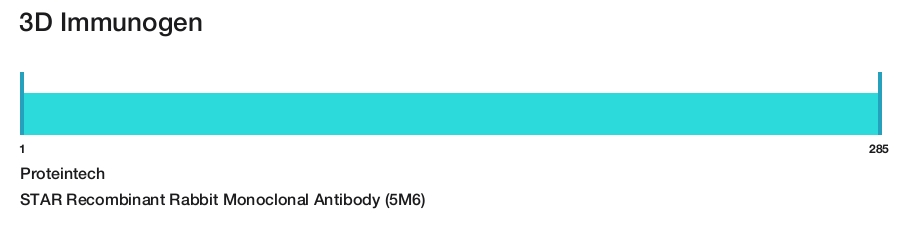 STAR Recombinant Rabbit Monoclonal Antibody (5M6)