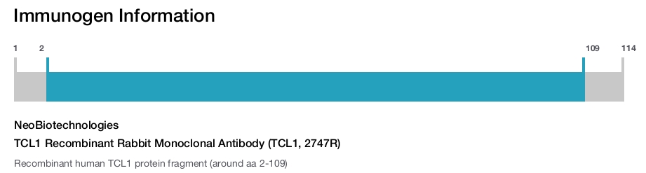 TCL1 Recombinant Rabbit Monoclonal Antibody (TCL1, 2747R)