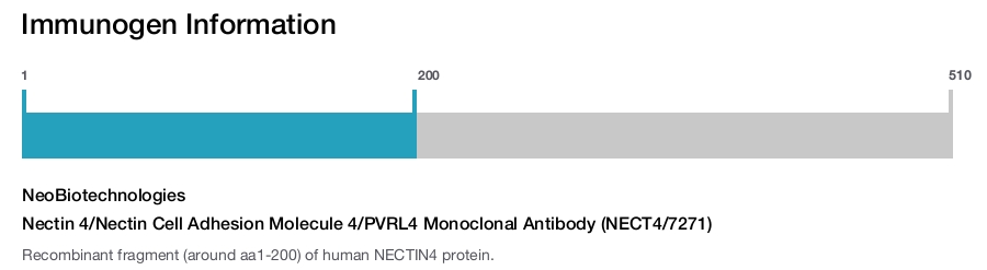 Nectin 4/Nectin Cell Adhesion Molecule 4/PVRL4 Monoclonal Antibody (NECT4/7271)