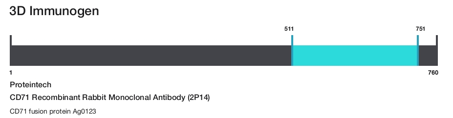 CD71 Recombinant Rabbit Monoclonal Antibody (2P14)
