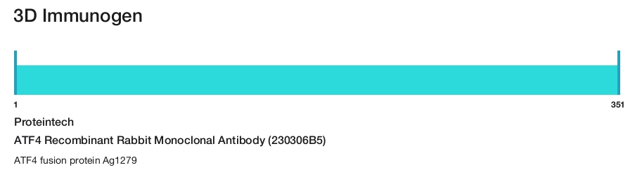 ATF4 Recombinant Rabbit Monoclonal Antibody (230306B5)