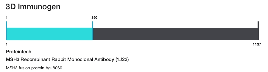 MSH3 Recombinant Rabbit Monoclonal Antibody (1J23)