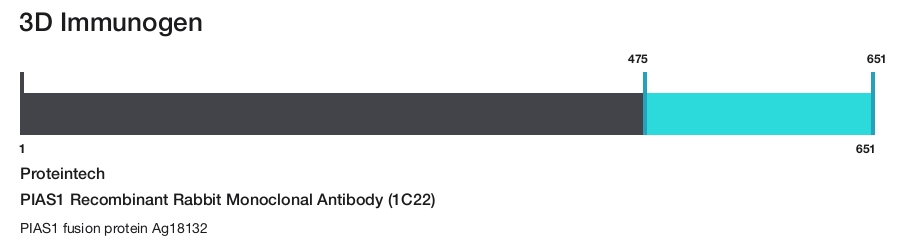 PIAS1 Recombinant Rabbit Monoclonal Antibody (1C22)