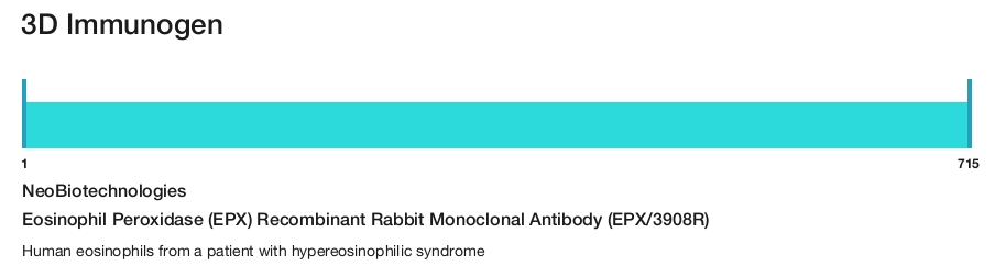 Eosinophil Peroxidase (EPX) Recombinant Rabbit Monoclonal Antibody (EPX/3908R)
