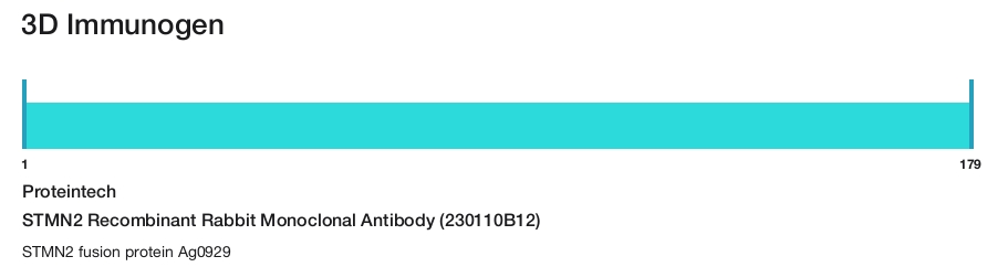 STMN2 Recombinant Rabbit Monoclonal Antibody (230110B12)