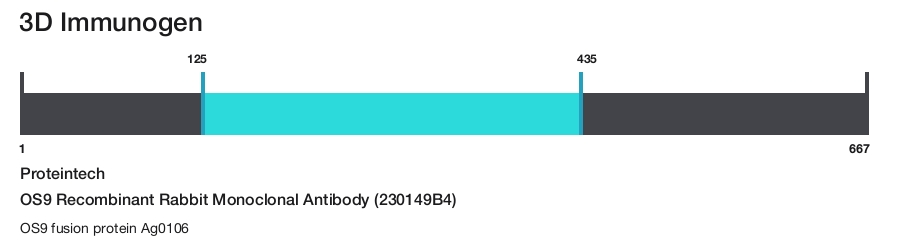 OS9 Recombinant Rabbit Monoclonal Antibody (230149B4)