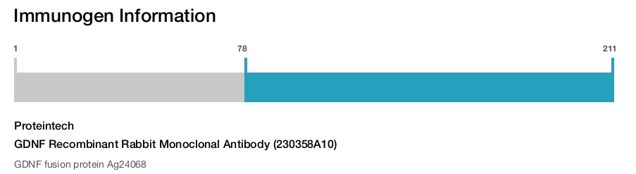 GDNF Recombinant Rabbit Monoclonal Antibody (230358A10)