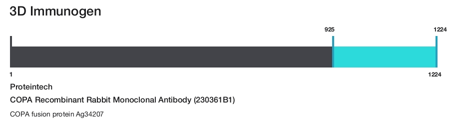 COPA Recombinant Rabbit Monoclonal Antibody (230361B1)