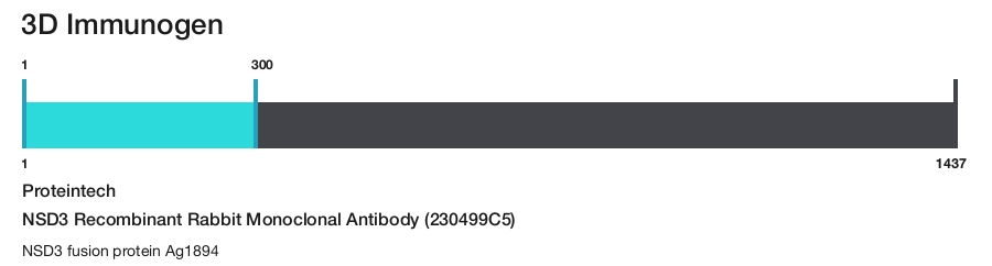 NSD3 Recombinant Rabbit Monoclonal Antibody (230499C5)